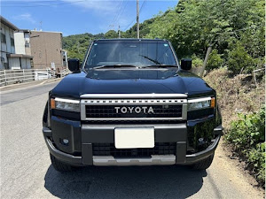 Land Cruiser 250 VX